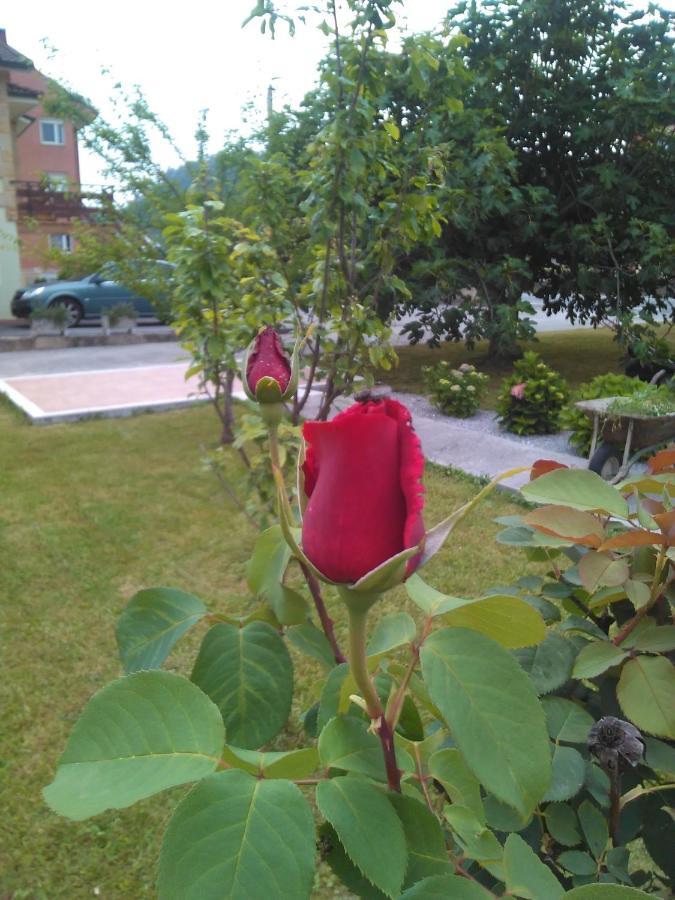 Higueras -casa Con Jardin-