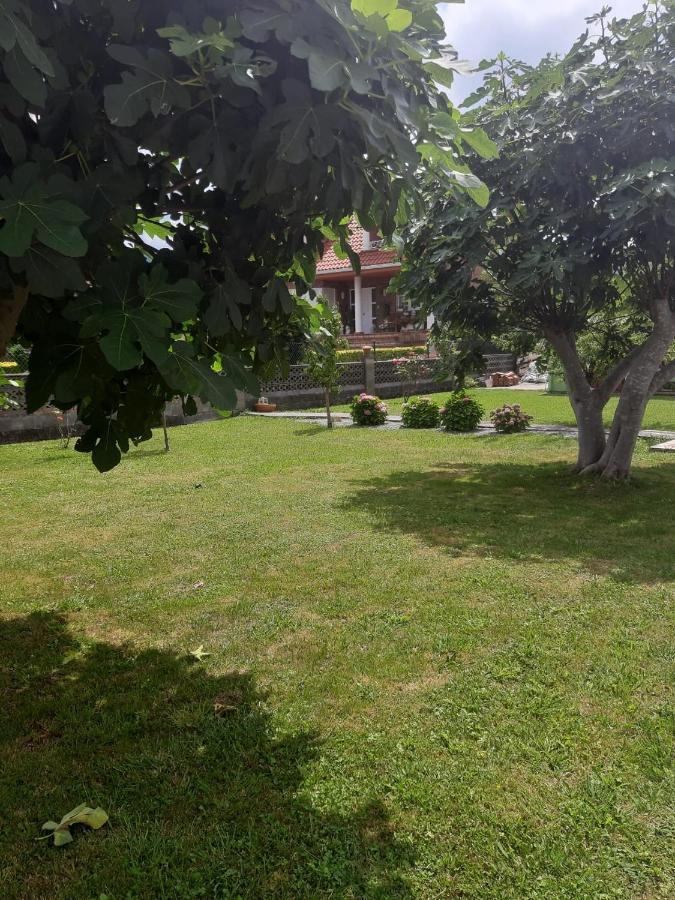 Higueras -casa Con Jardin- Holiday home *